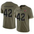 BIPIHUC A.Cardinals #42 Dadrion Taylor-Demerson Player Olive Salute To Service Stitched Jerseys