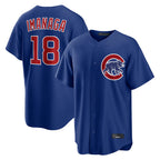 BIPIHUC C.Cubs #18 Shota Imanaga Player Royal Home Game Stitched Jerseys