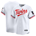 BIPIHUC Minnesota Twins Blank Player White Home Limited Stitched Jerseys