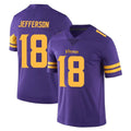 BIPIHUC MN.Vikings #18 Justin Jefferson Player Purple Limited Color Rush Home Game Stitched Jerseys