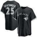 BIPIHUC T.Blue Jays #25 Anthony Santander Player Black City Connect Limited Stitched Jerseys