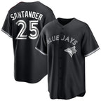BIPIHUC T.Blue Jays #25 Anthony Santander Player Black City Connect Limited Stitched Jerseys