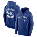 BIPIHUC T.Blue Jays #25 Anthony Santander Player Royal Performance Pullover Hoodie
