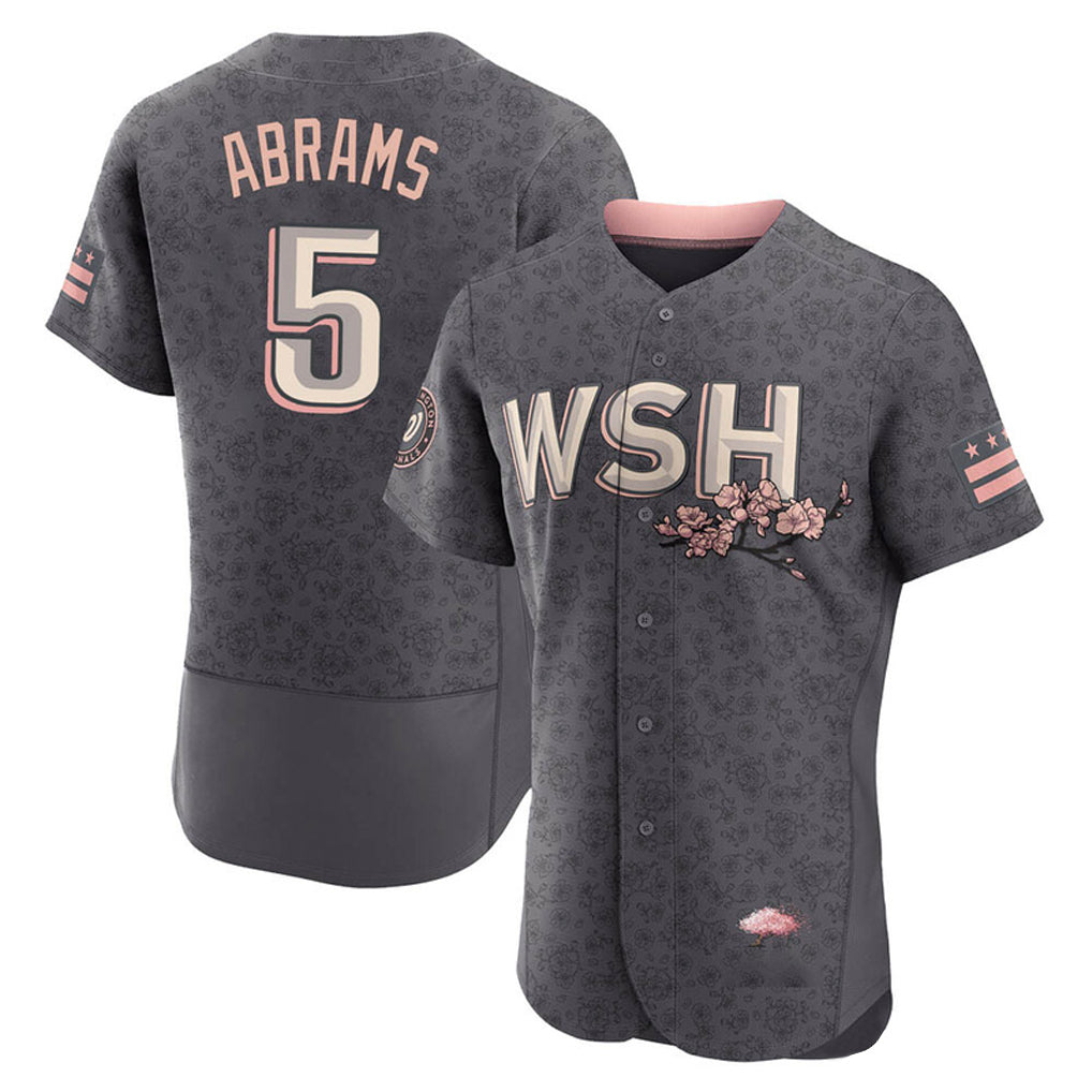 BIPIHUC W.Nationals #5 CJ Abrams Player Gray City Connect Stitched Jerseys